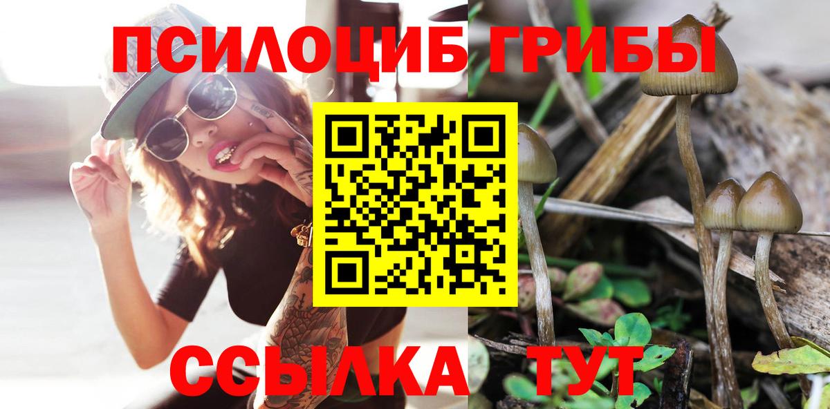 Псилоцибиновые грибы ЛСД  Галлюциногенные грибы MAGIC MUSHROOMS  Санкт-Петербург 
