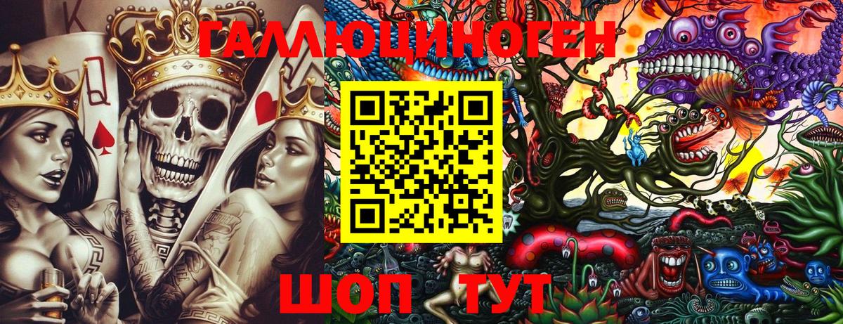 Псилоцибиновые грибы прущие грибы Санкт-Петербург